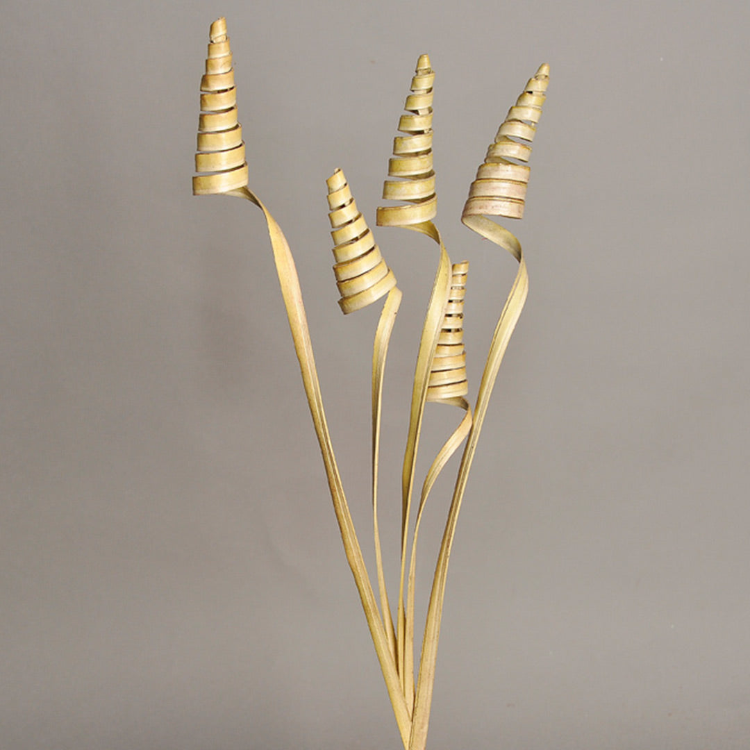 Palm Cone