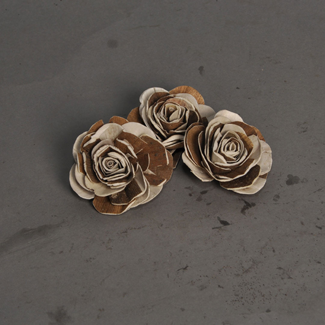 Sola Disco Beauty Rose