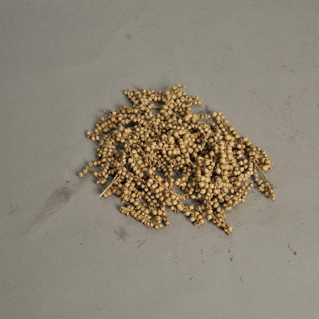 Canella Cutting (Natural)