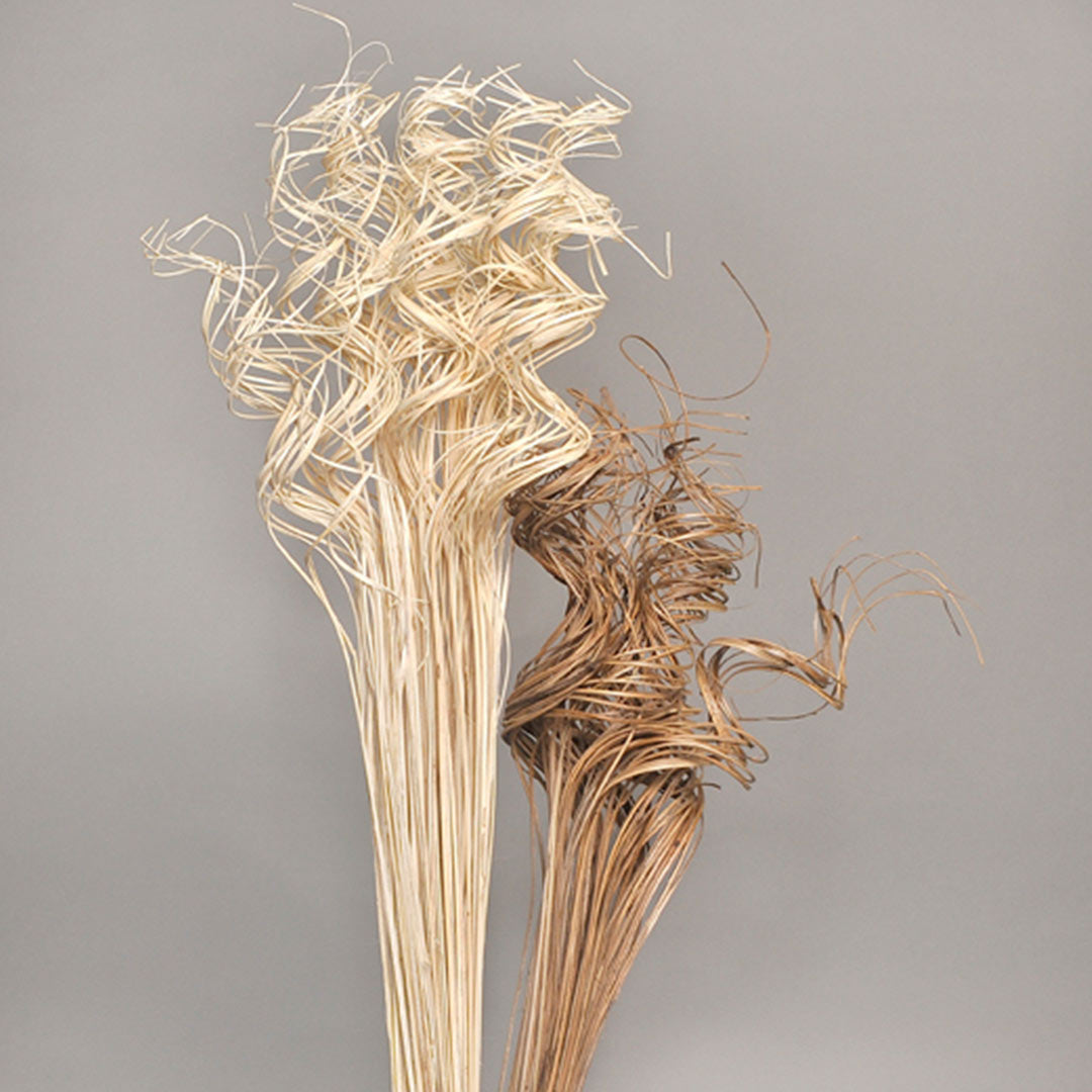 Coco Curly Ting-Ting Bleach & Natural