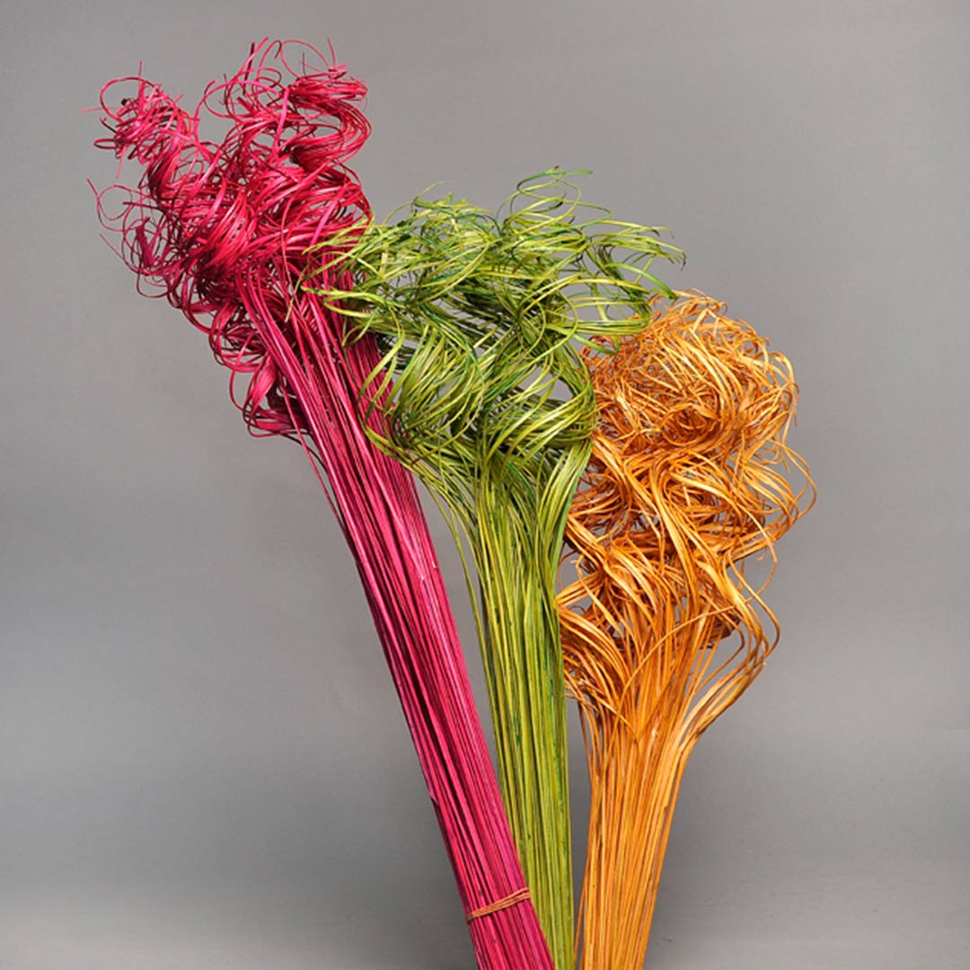 Coco Curly Ting-Ting Red, Apple Green, Golden Yellow