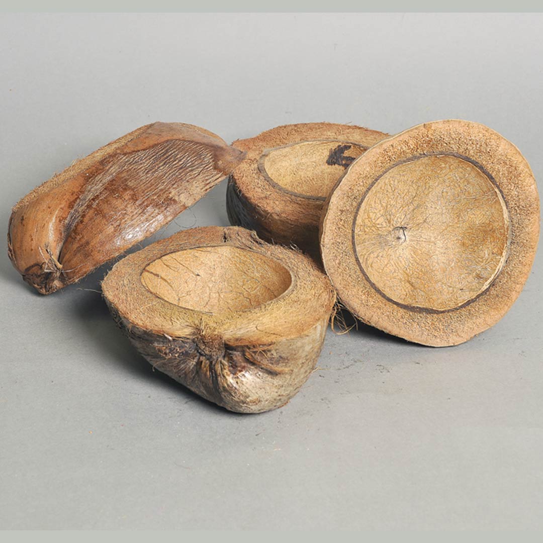 Coconut Half Natural