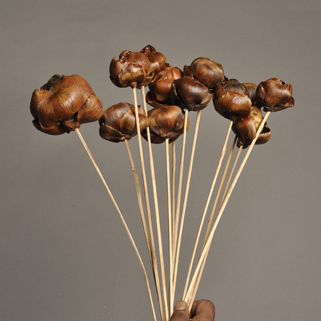 Palm Fruit on Stem