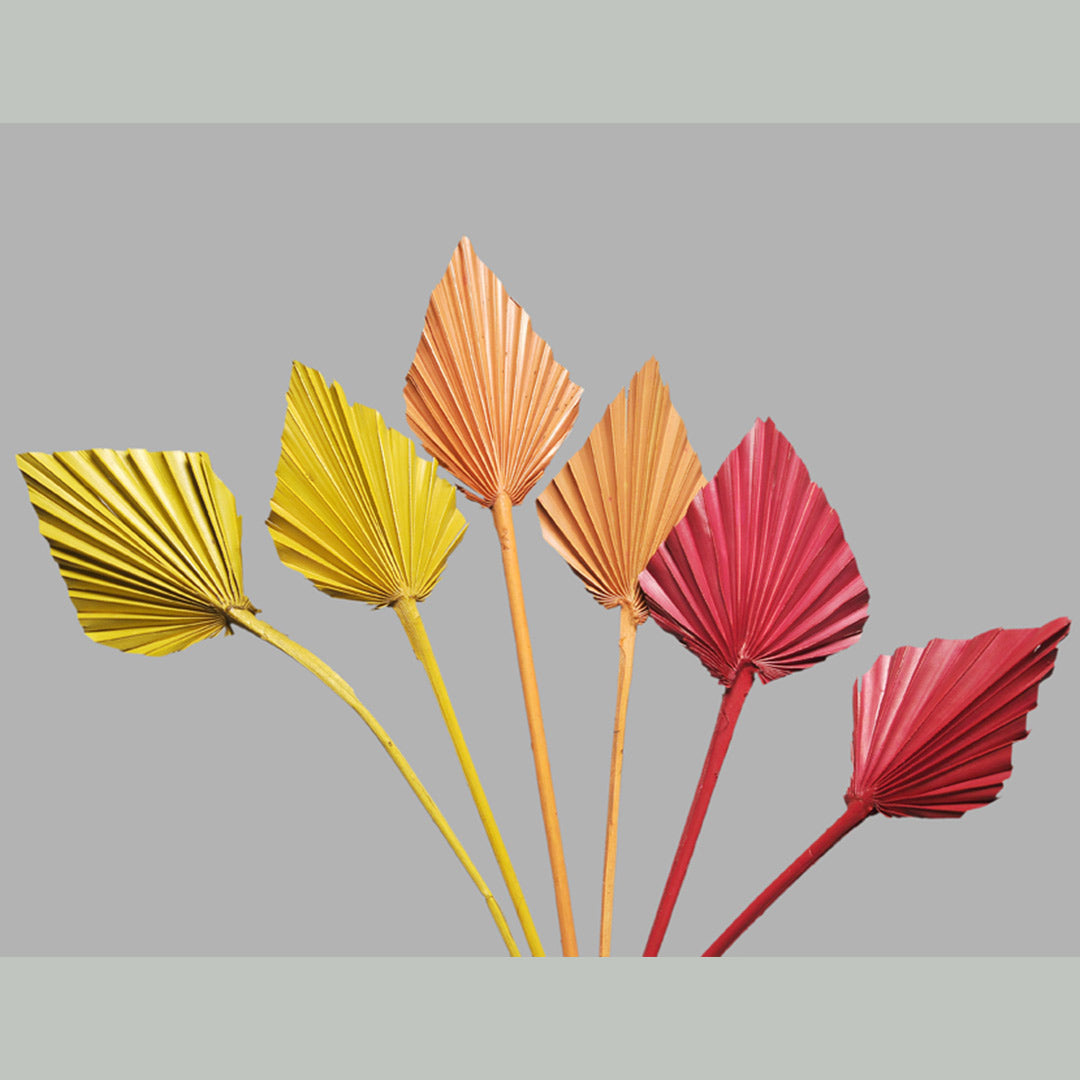 Palm Spear – Yellow, Orange & Red