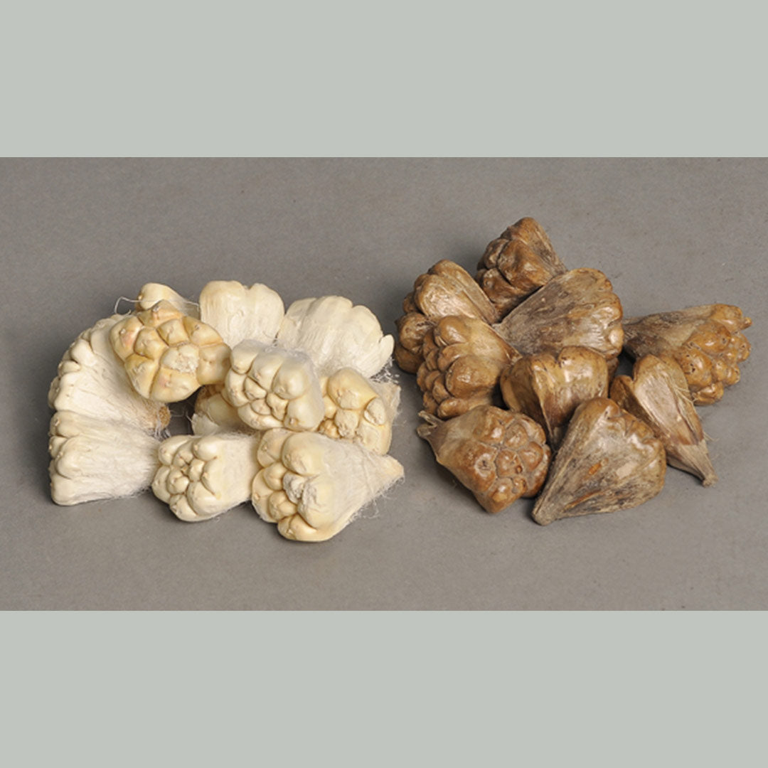 Keya Pod – Bleach & Natural