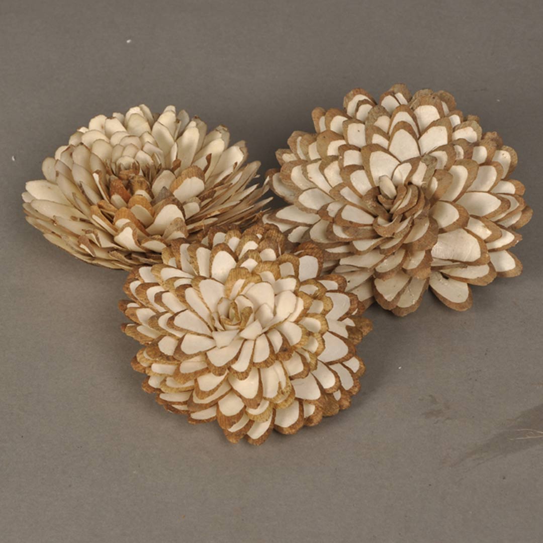 Sola Slice Flower