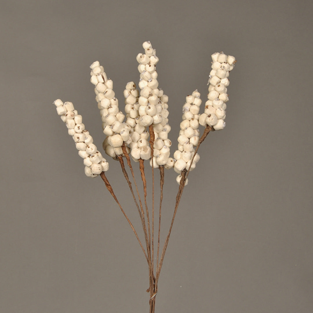 Sola Berries on Wire