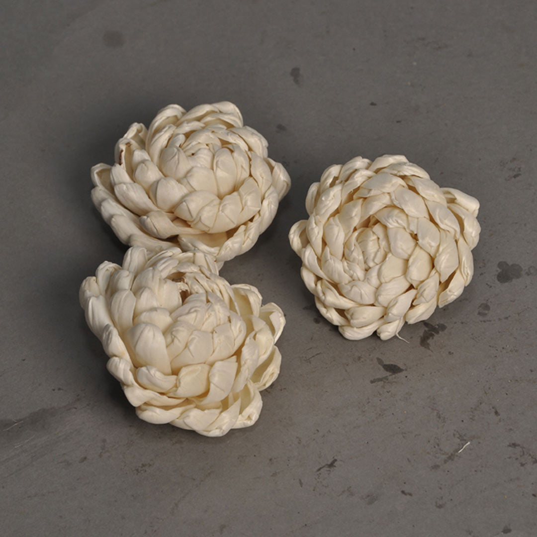 Sola White Shoe Flower