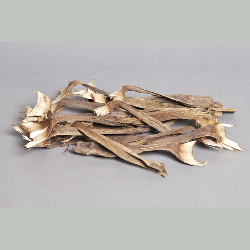 Agave Mini Natural
