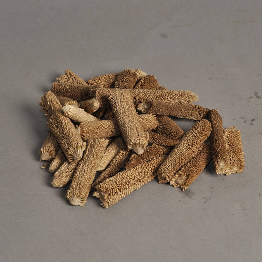 Babu Cut (Natural Stem/Branch)