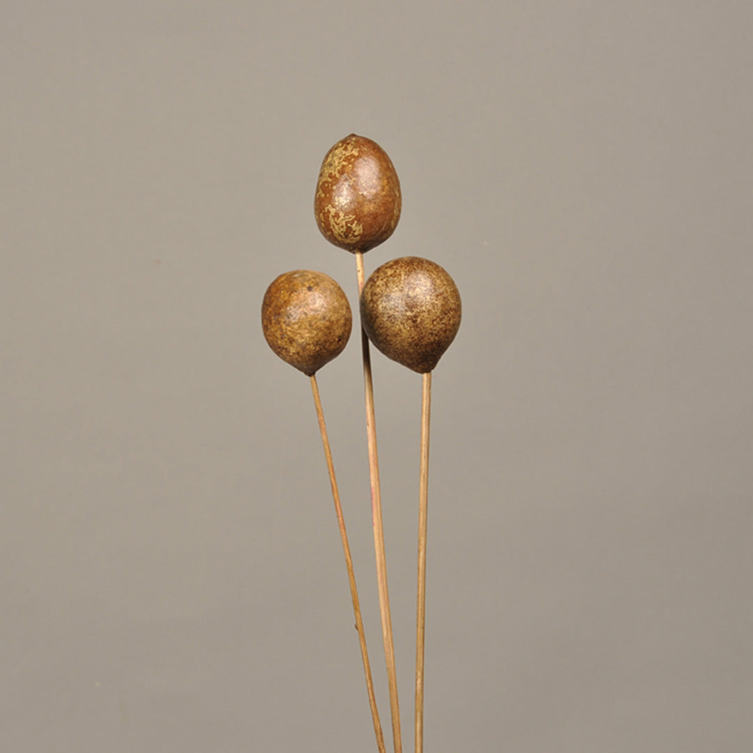 Bellani Apple on Stem