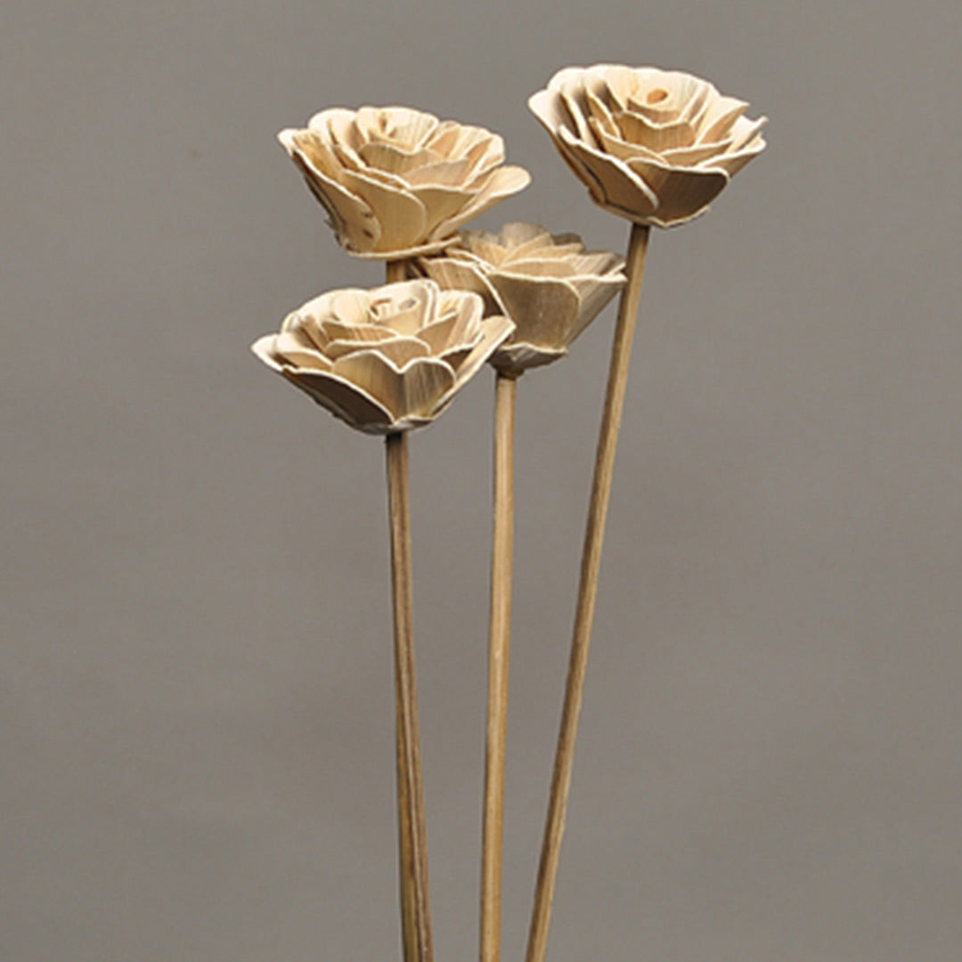 Betal Rose on Stem