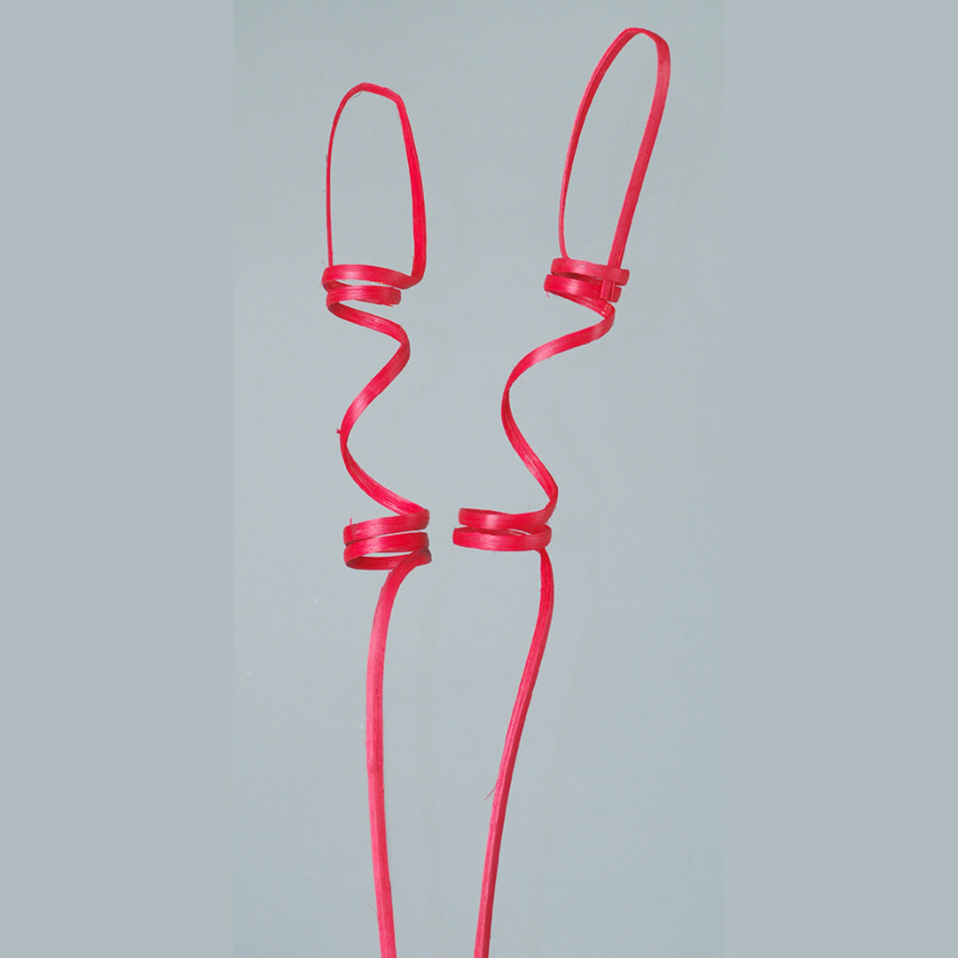 Cane Bishop Red