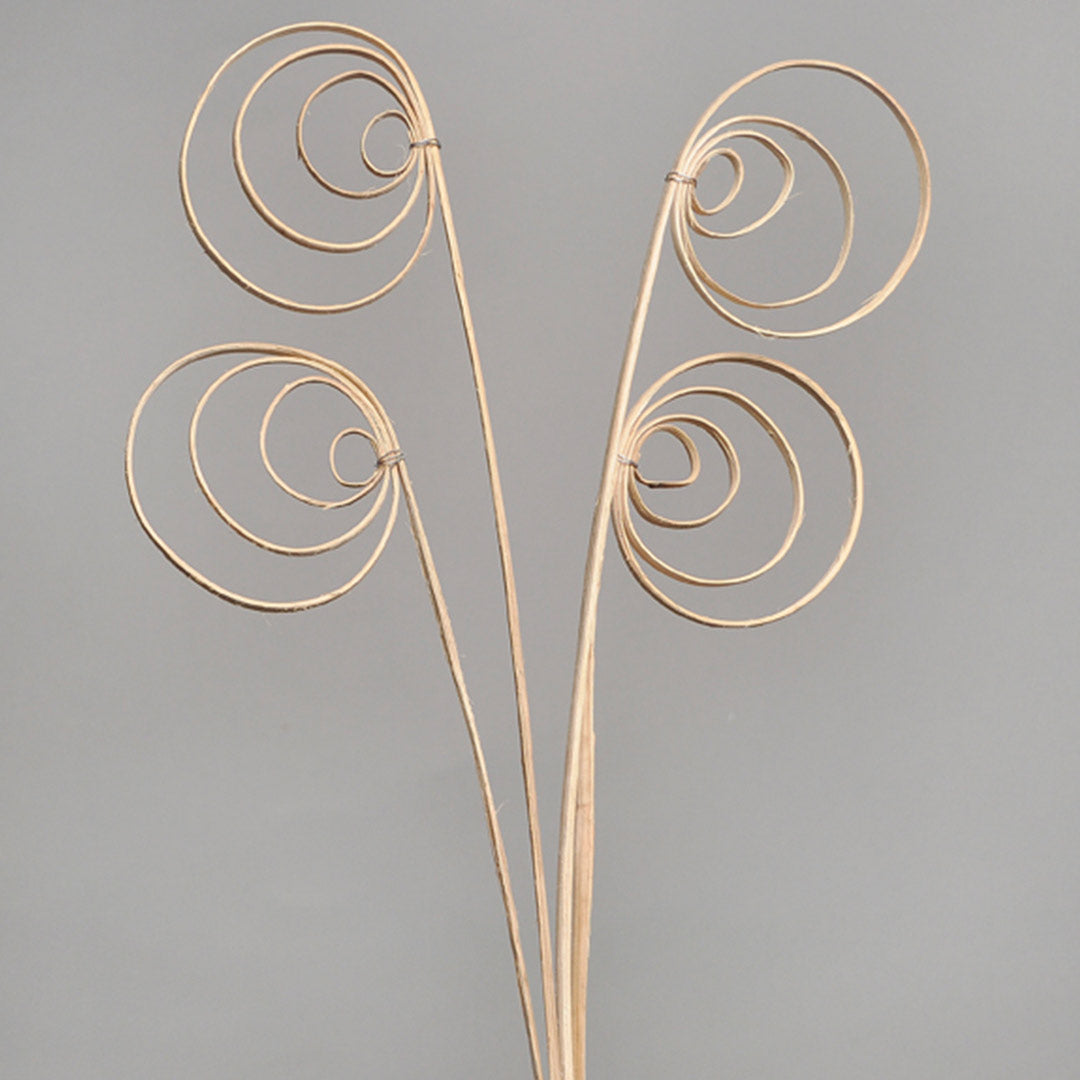 Cane Circle 1