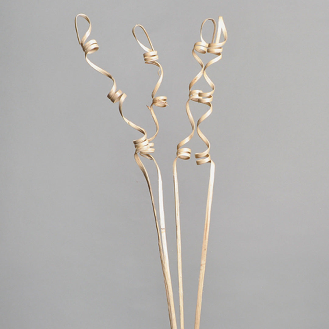 Cane Step Spring