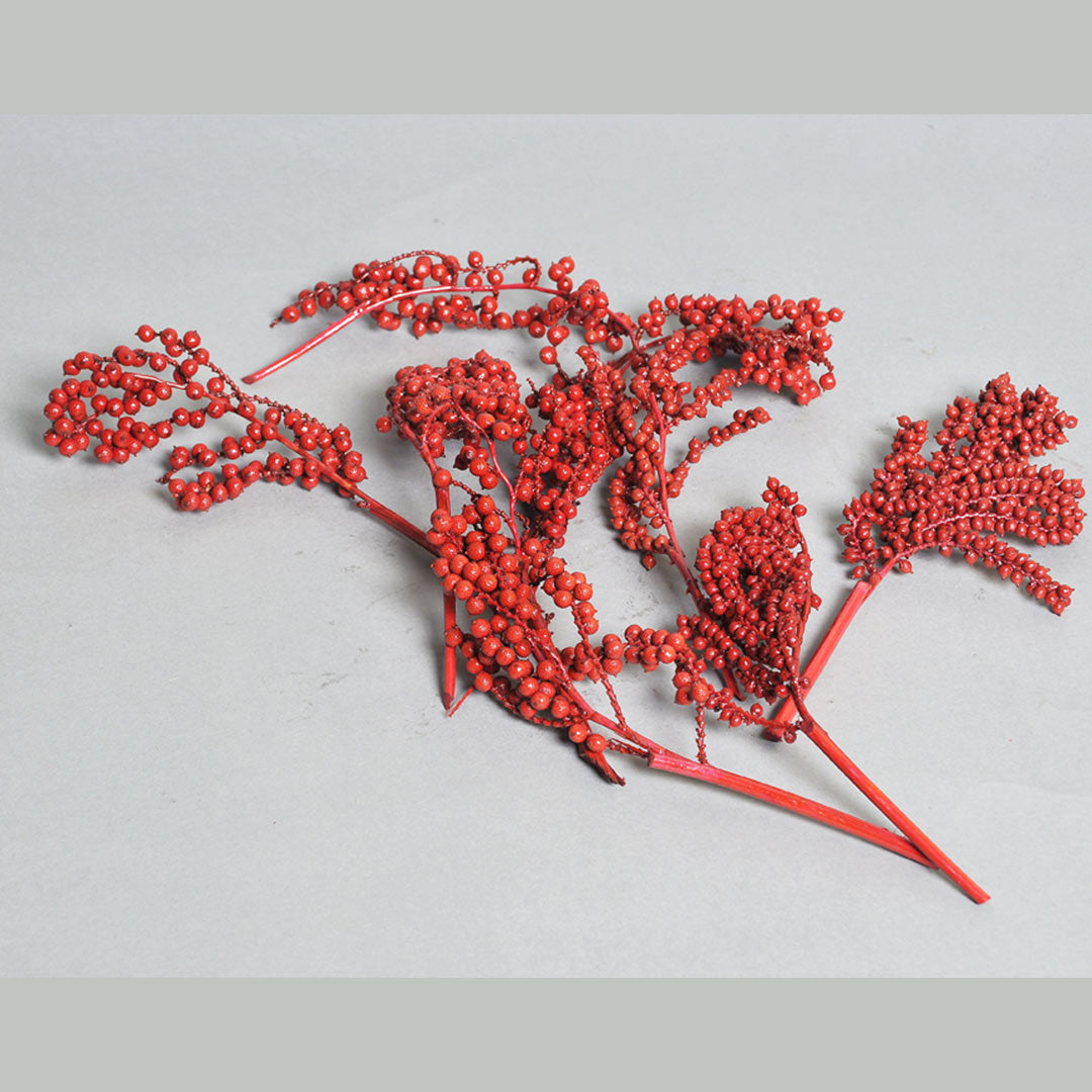 Canella Normal Red