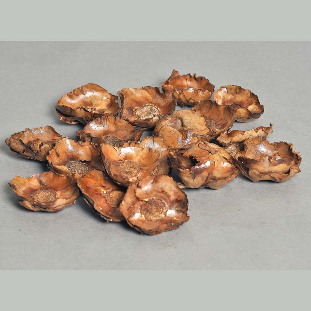 Coco Cap (Natural)