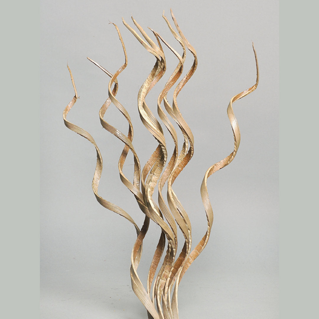 Coco Curly Single