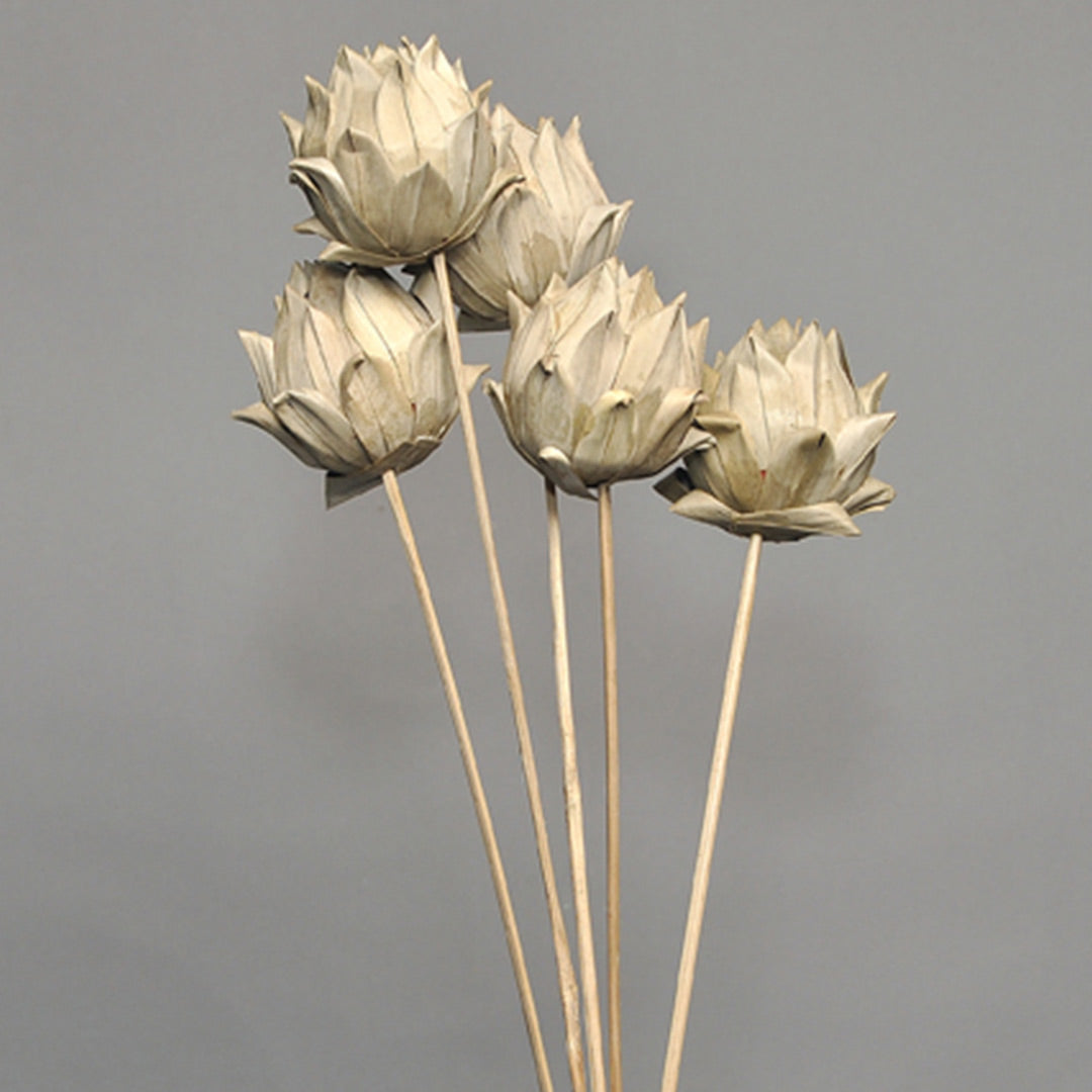 Khejur Artichoke on Stem