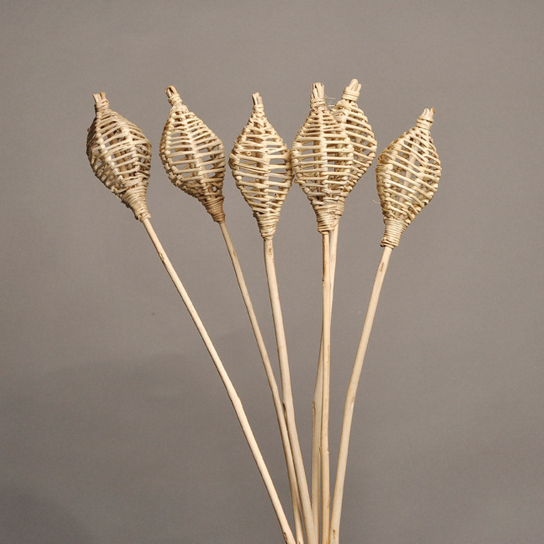 Lata Lamp
