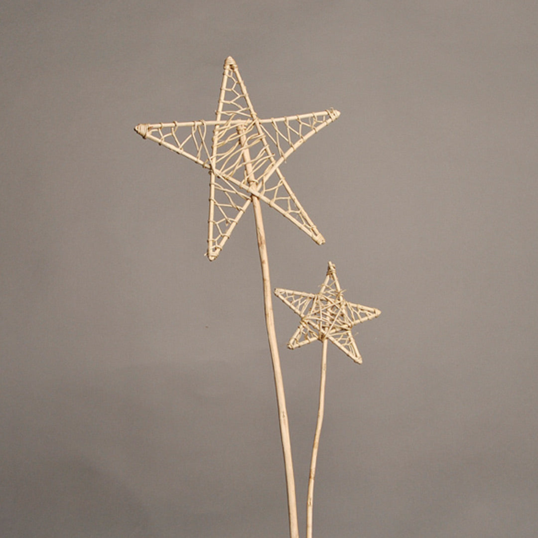 Lata Perforated Star