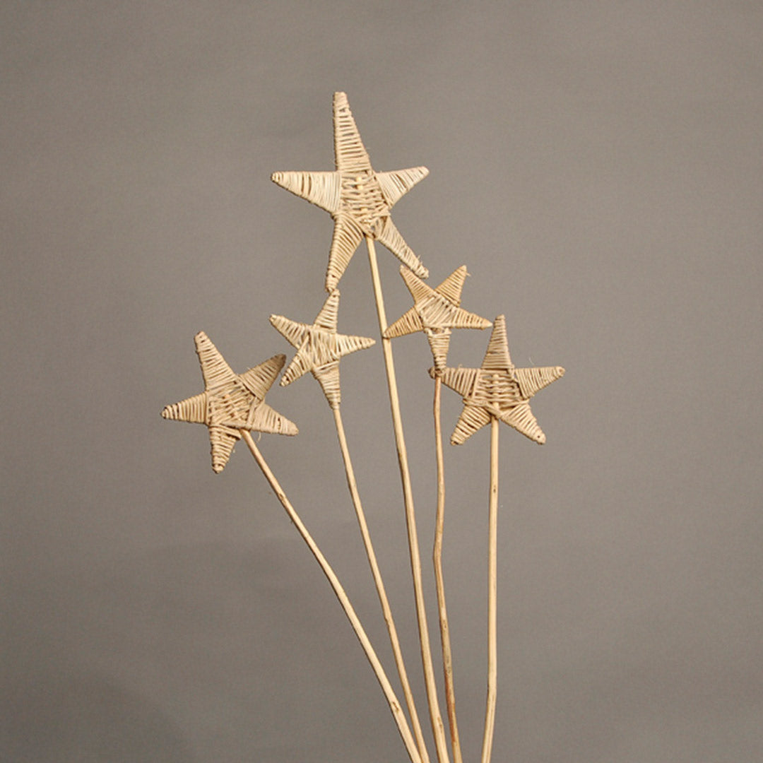 Lata Plain Star