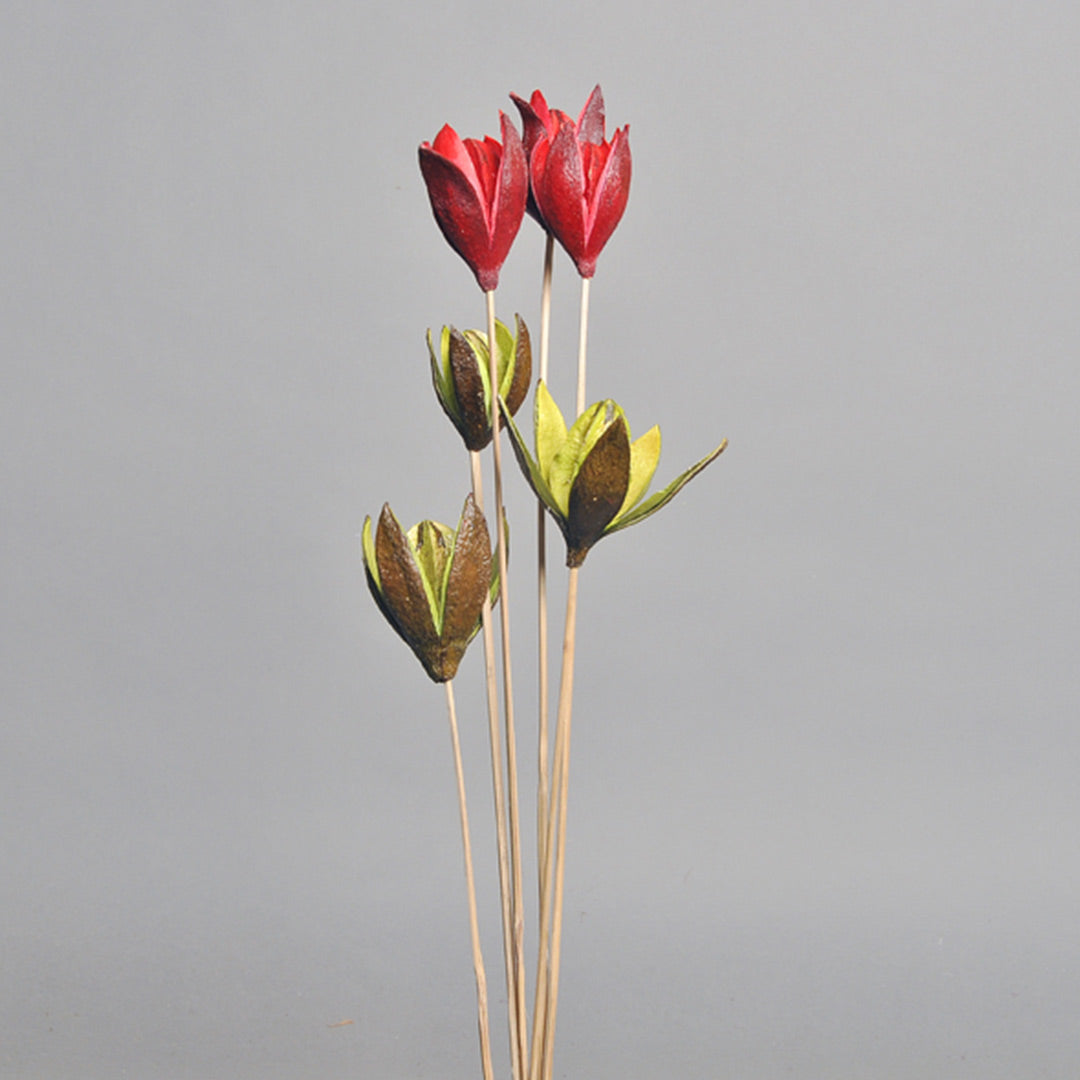 Lily – Red & Green on Stem