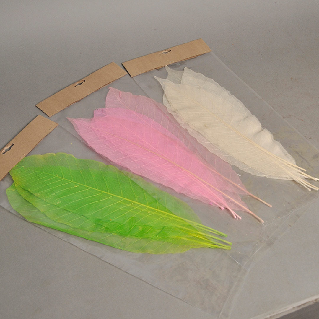 Long Leaves – Green, Pink, Bleach