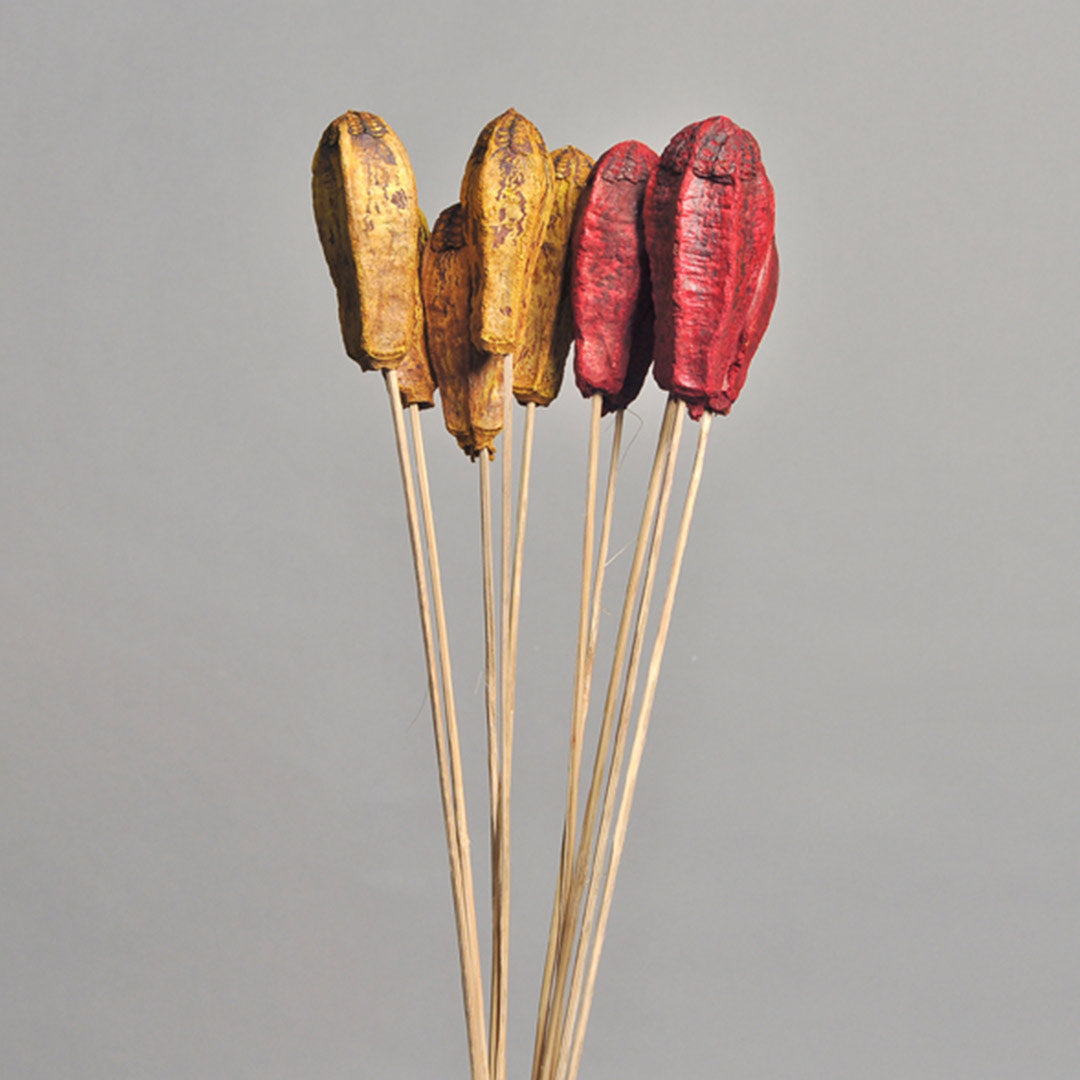 Mahogany on Stem – Orange & Red