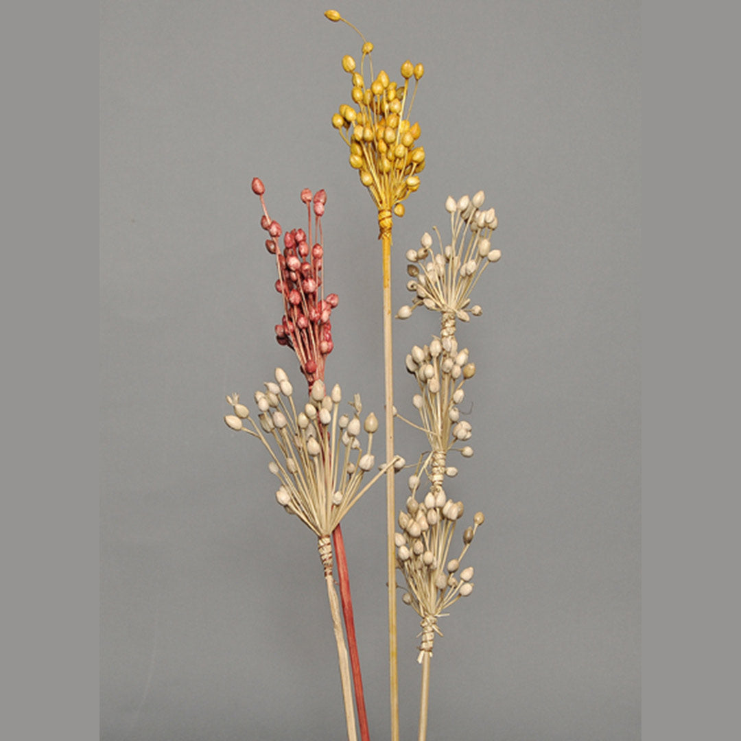 Moti Bunch Single Natural, Red, Yellow & Triple