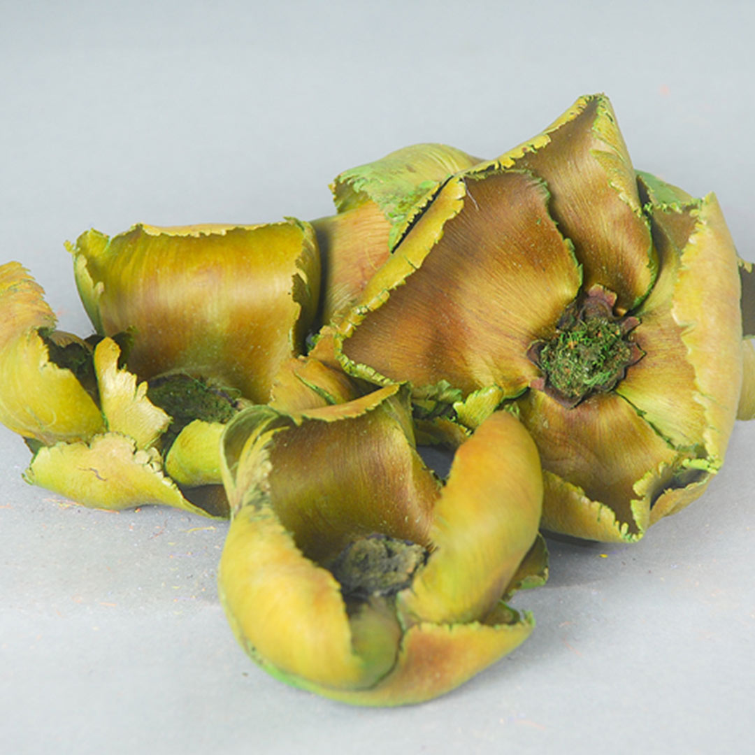 Palm Cap – Apple Green