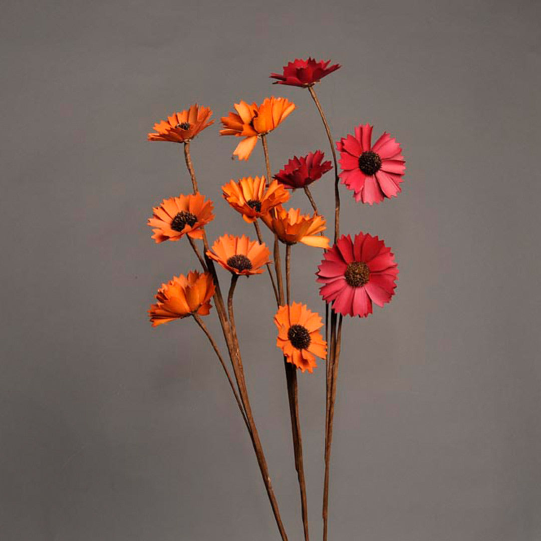 Palm Cosmos (Orange & Red, on Stick)