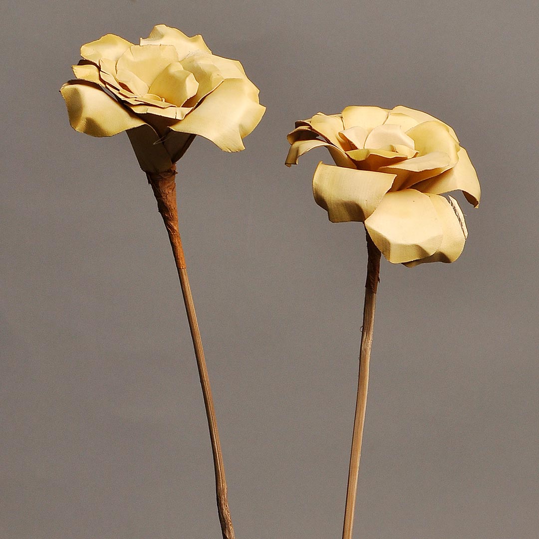 Palm Flower on Stem