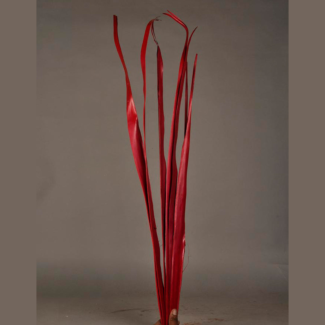 Palm Sun Leaf (Red)