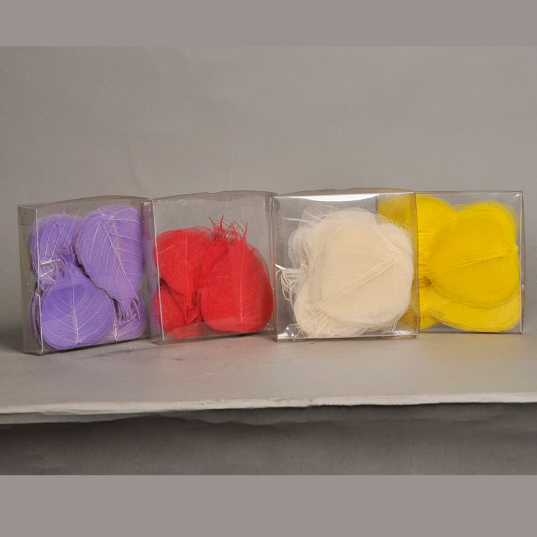 Pipul Leaf Skeleton (Lilac, Red, Bleach, Yellow in PVC Box)