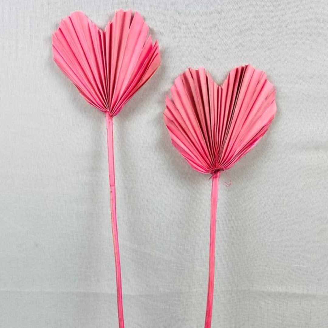 Palm Articles
