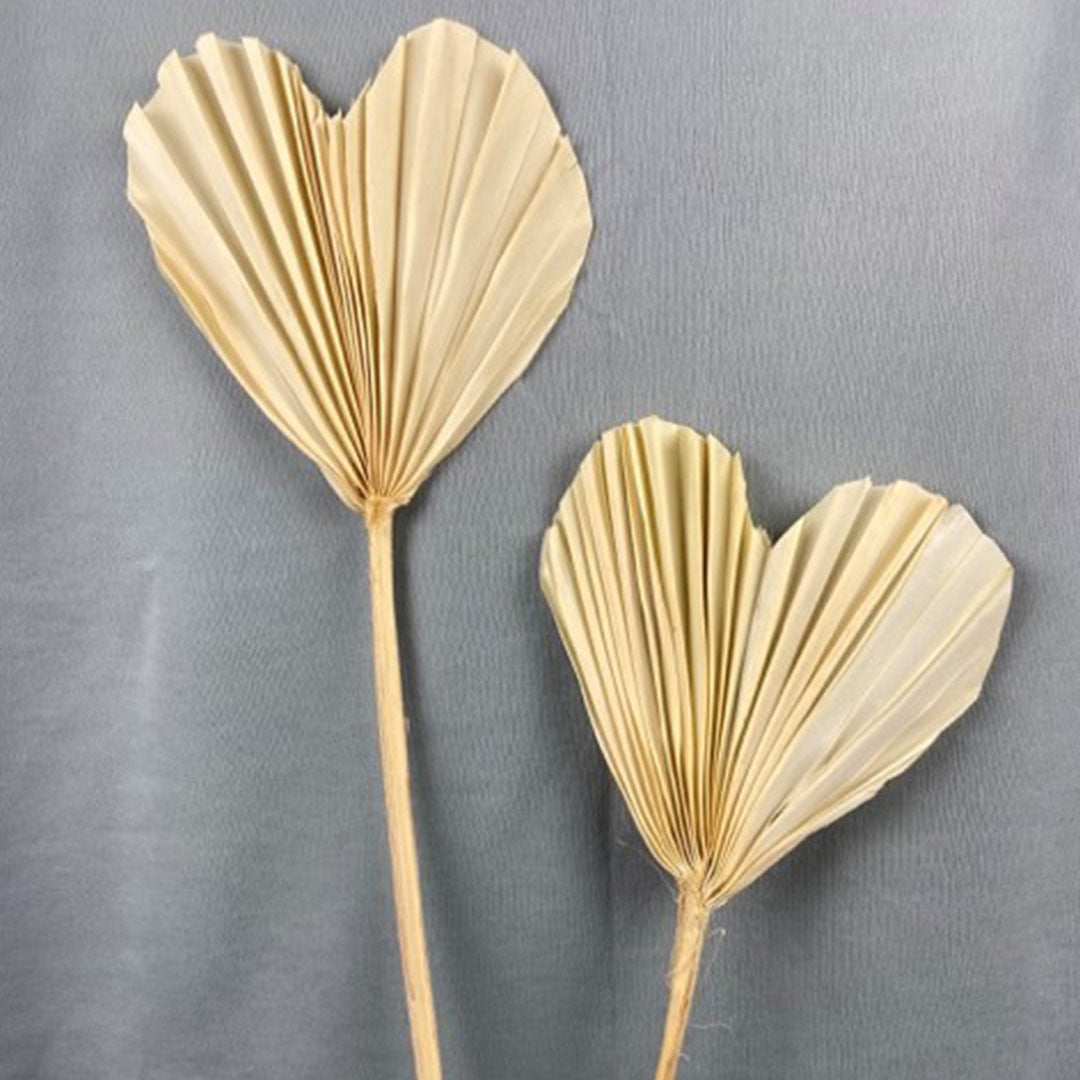 Palm Articles