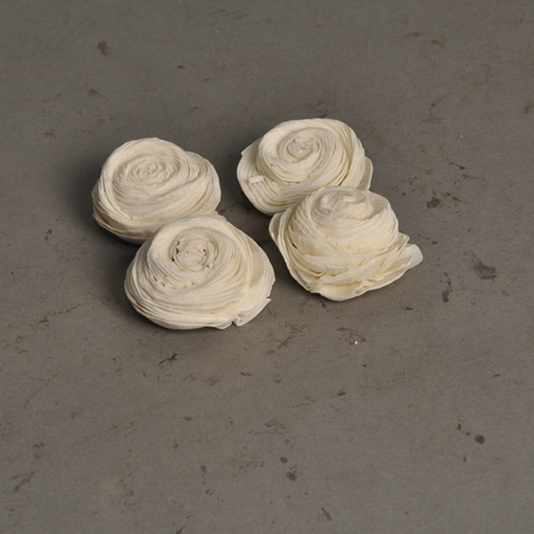 Sola Shell Flower