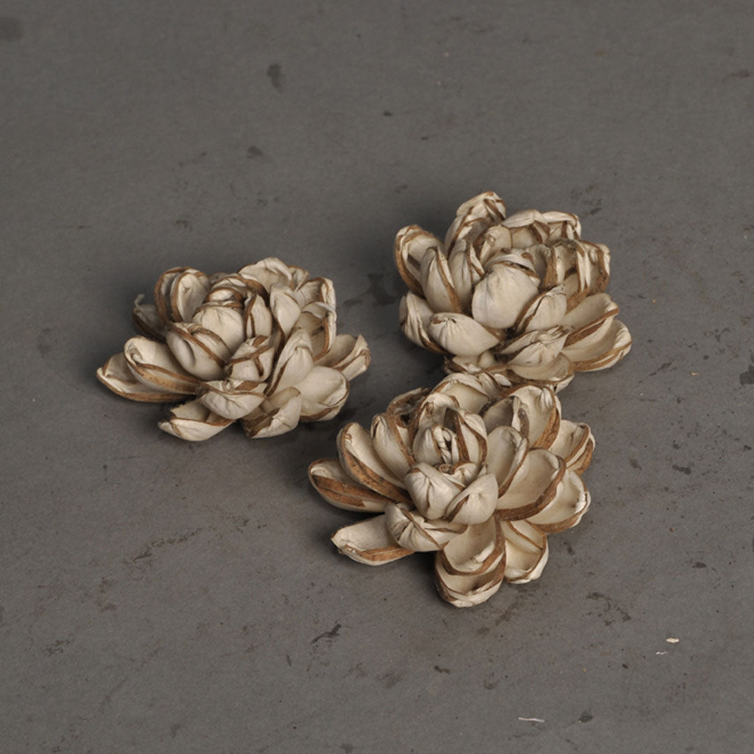 Sola Disco Shoe Flower
