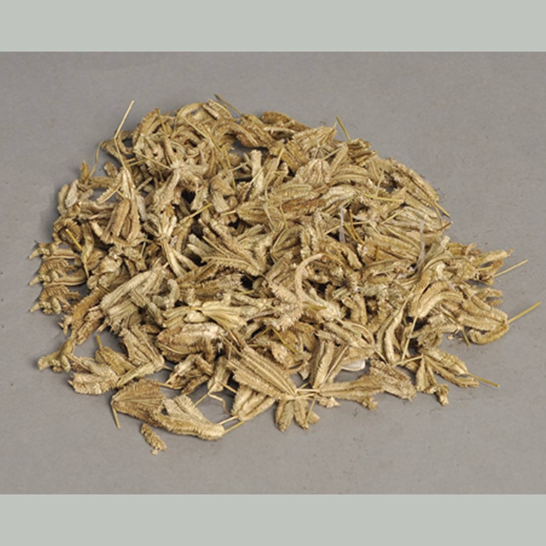 Spider grass