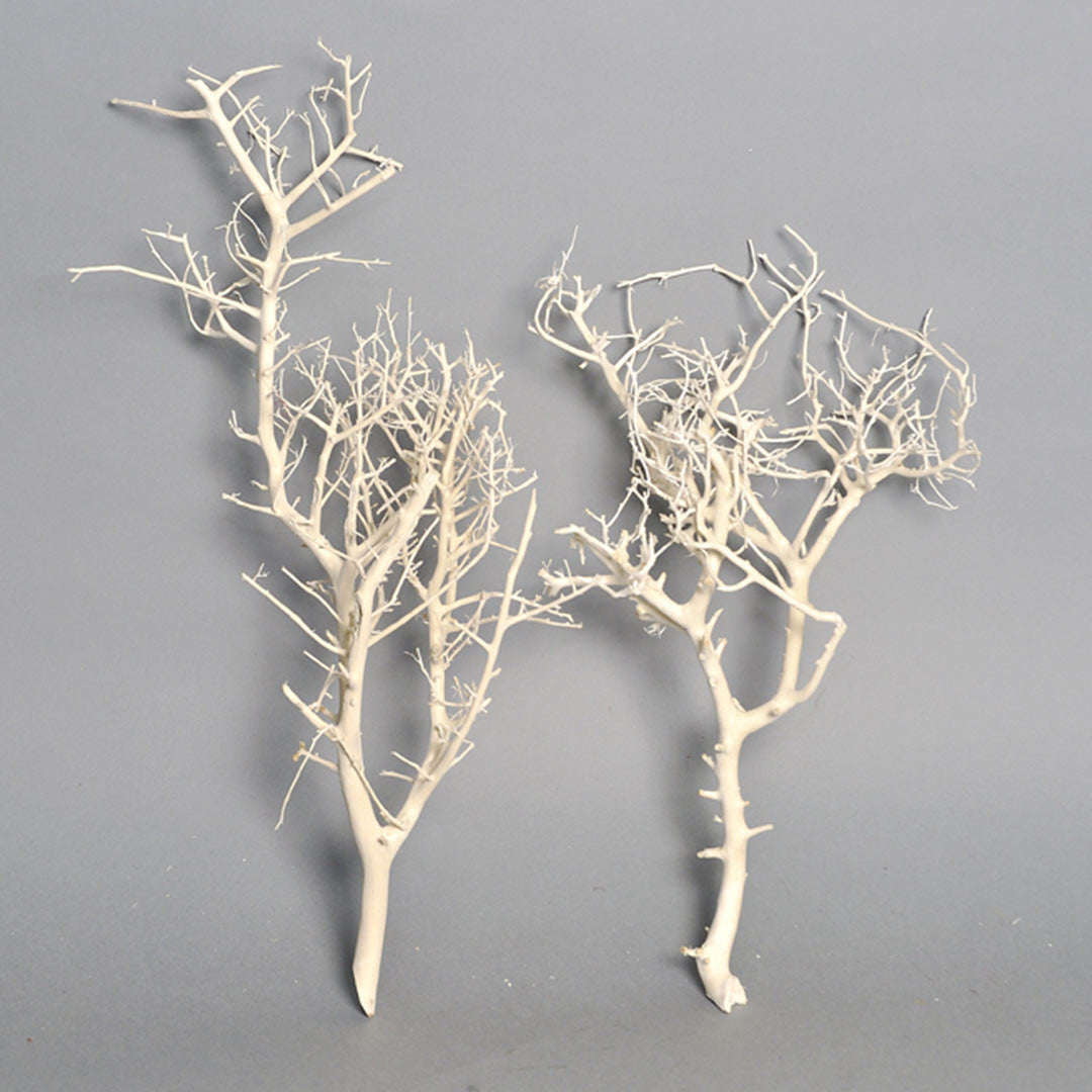 White Bush Bleach
